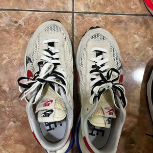 나아키 사카이 로얄 푸시아