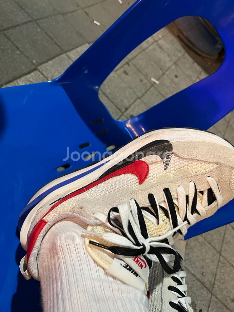 나아키 사카이 로얄 푸시아--1