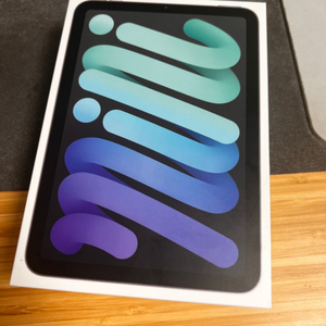 아이패드 미니6 wifi 64gb (새것과 다름없음)