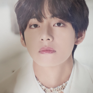 방탄 맵솔 태형 프포