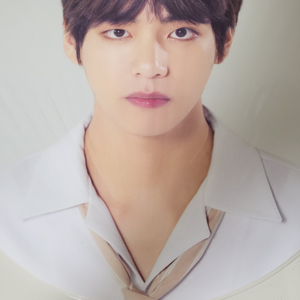 방탄 럽셀 태형 피켓