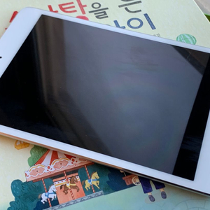 아이패드 미니4 셀룰러 64