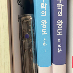 수학의왕도 수1 미적1