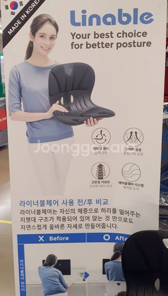 라이너블 체어 와이더 팝니다--4
