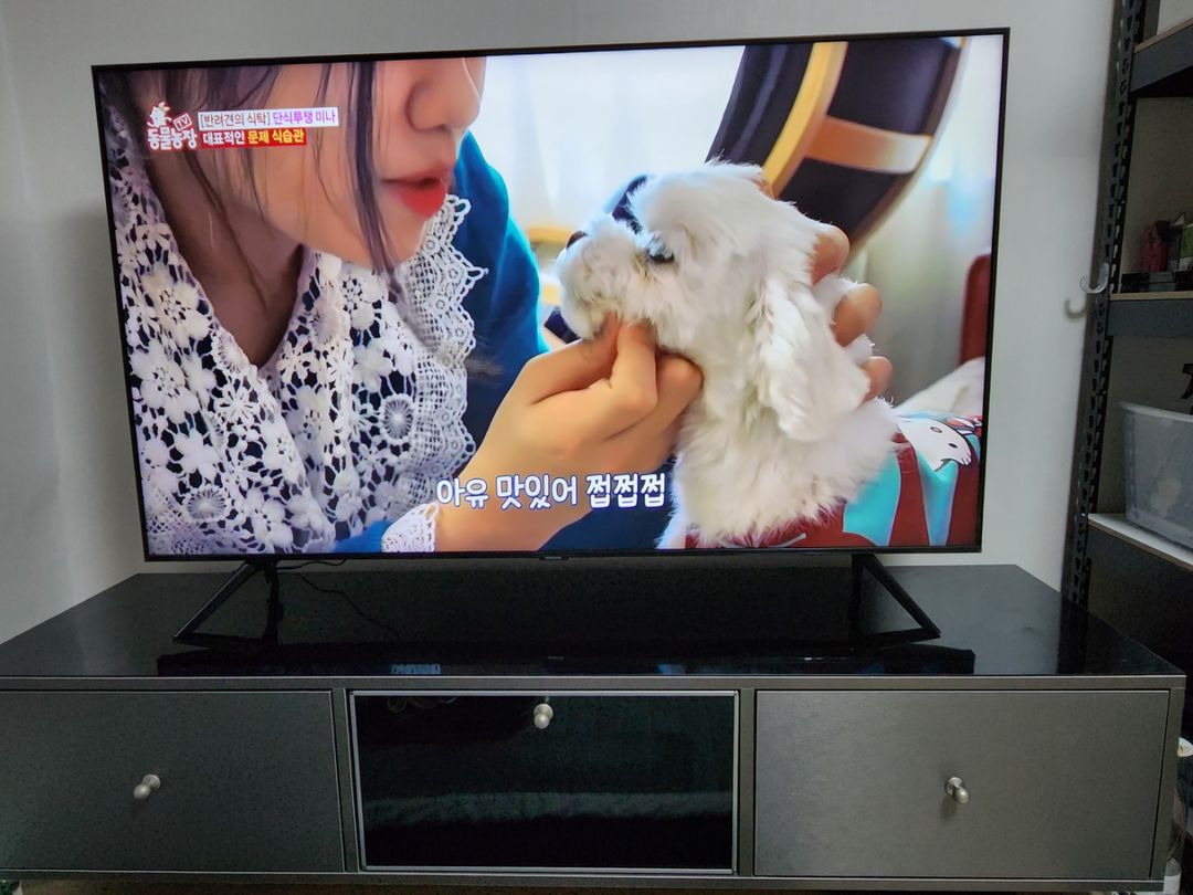 TV장