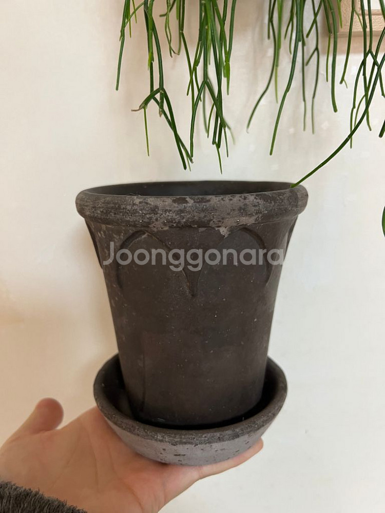 베르그포터 토분--0