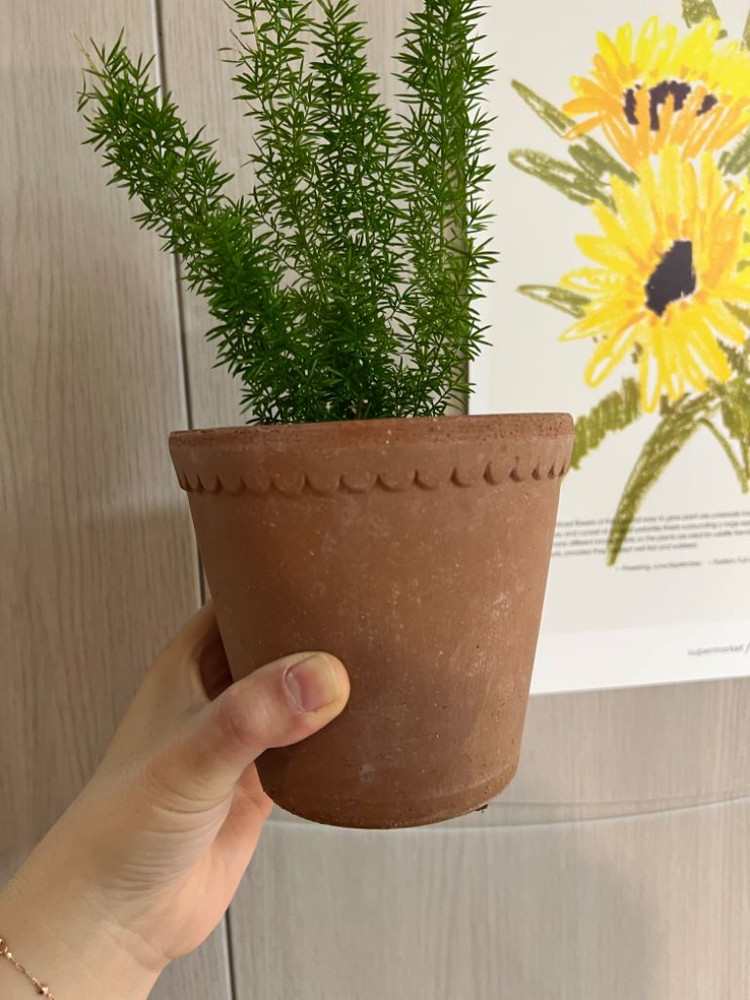 베르그포터 토분--1