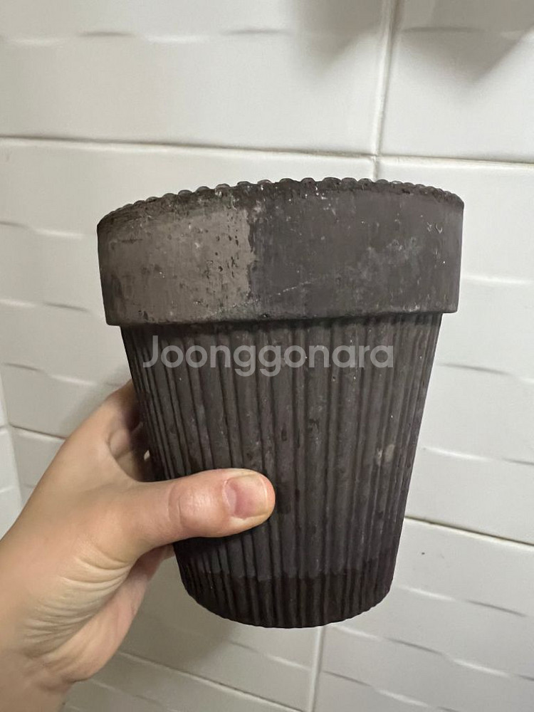 베르그포터 토분--2