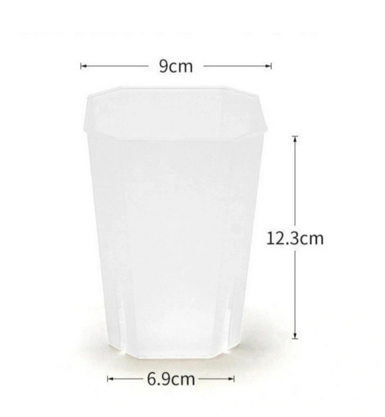 필로덴드론 실버메탈 (대품) 이미지