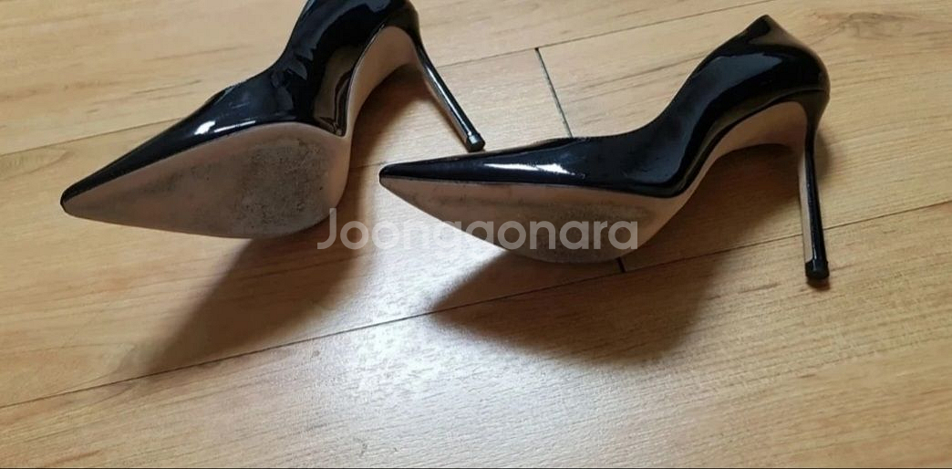 지미추 러브? 36 새거급--2