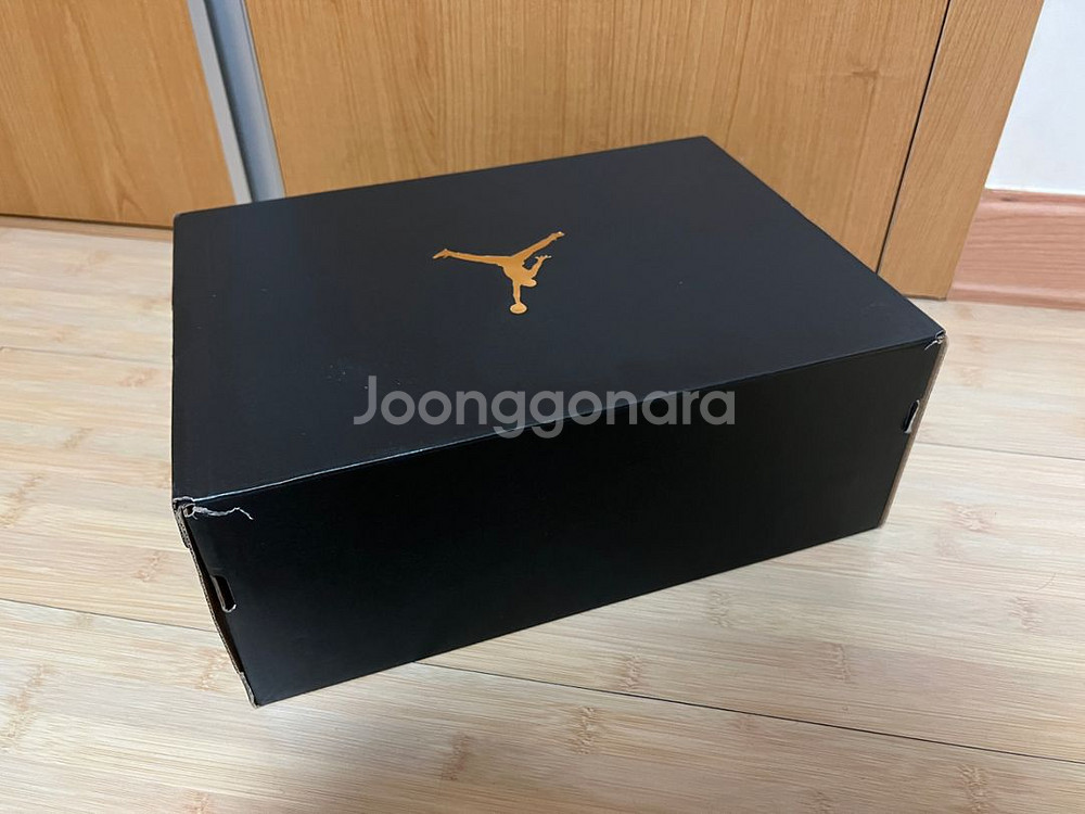 디올조던맛 나이키 조던골프 울프그레이 275mm--3
