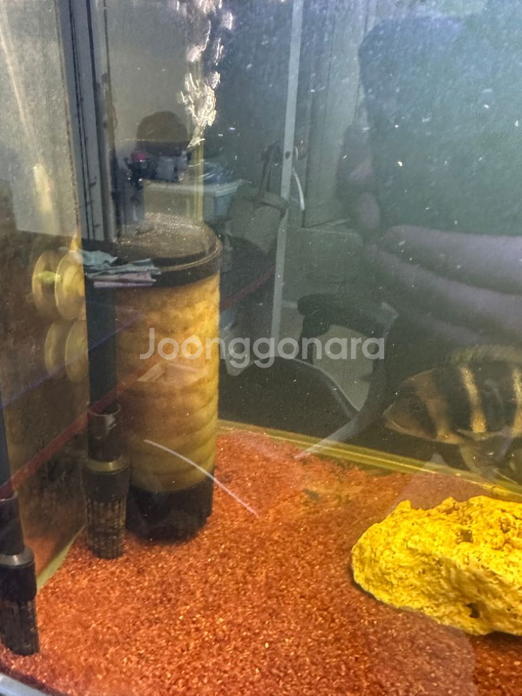 3자광폭10t어항 및 축양장셋트 팝니다.(경북 김천)--2