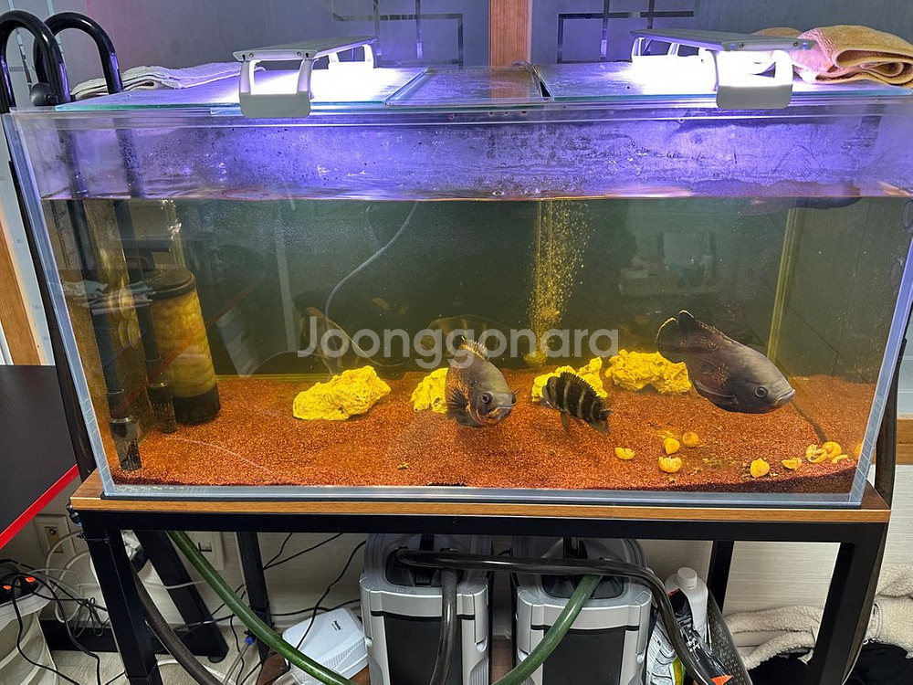 3자광폭10t어항 및 축양장셋트 팝니다.(경북 김천)--1