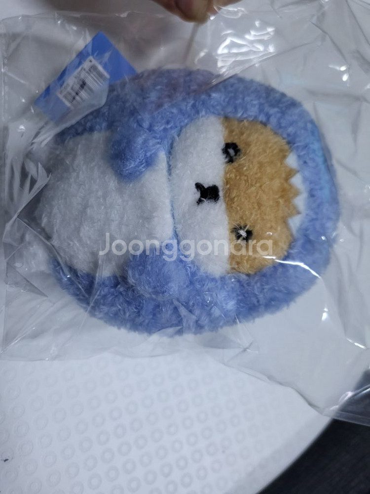 몬스타엑스 햄슥이--0