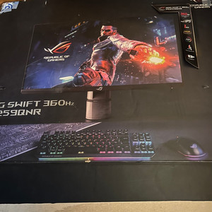 ASUS ROG PG259QNR FHD 360hz모니터