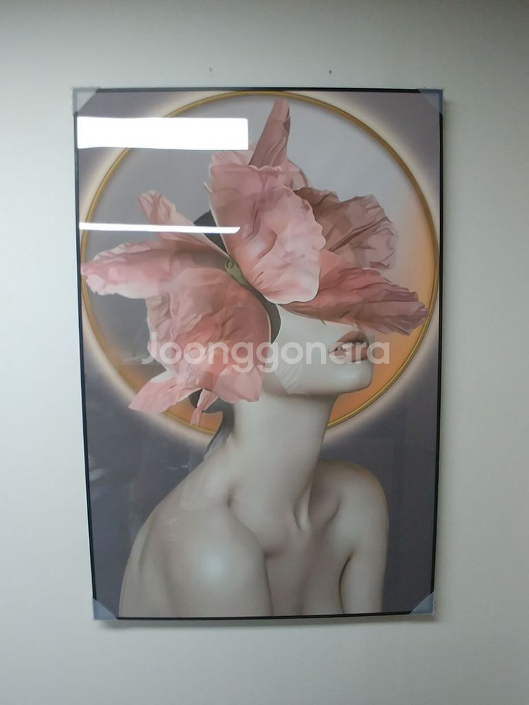 에르메스 풍 럭셔리 대형 그림 액자 명품 인테리어 소품--1