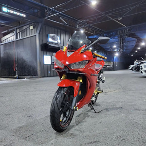 r3 2017 풀배기 (네고가능)