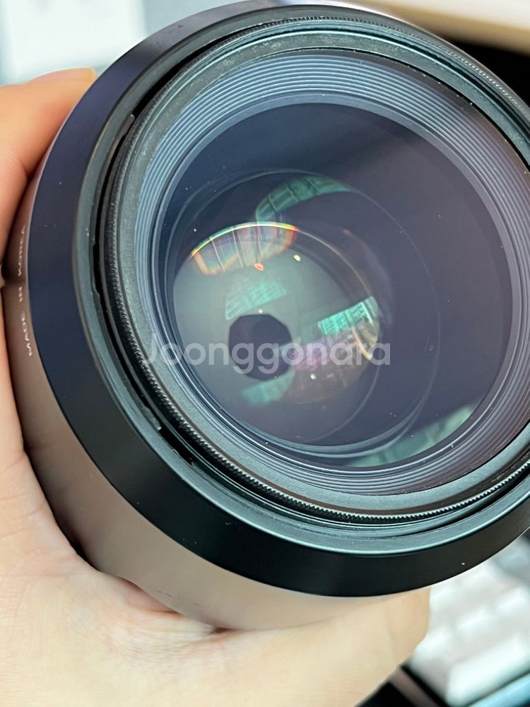 삼양50mm f1.4--1