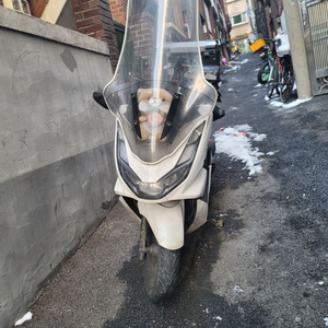 pcx125 21년