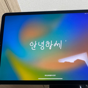 아이패드 프로 4세대 11 셀룰러 스그 128GB