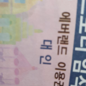 에버랜드 자유이용권 (qr 가능)