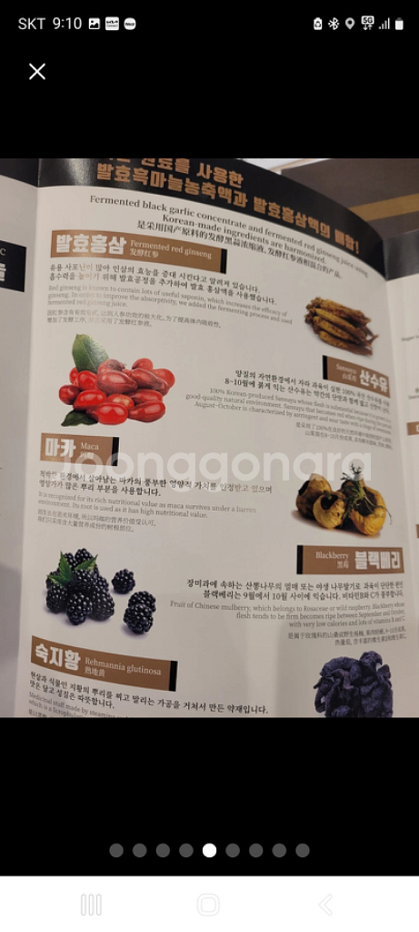 발효홍삼 흑마늘 진액 750ml 2병 효과 최고인기제품--4