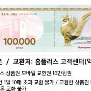 [홈플러스] 모바일교환권 10만원권