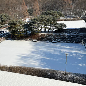 코오롱 헤스티아 110사이즈 구해요