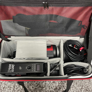 aputure 300d mk2