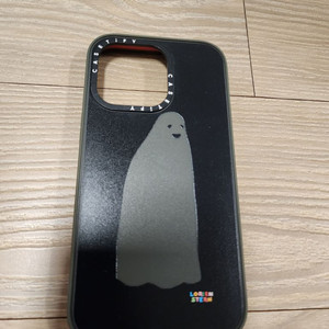 castify 아이폰13 pro case