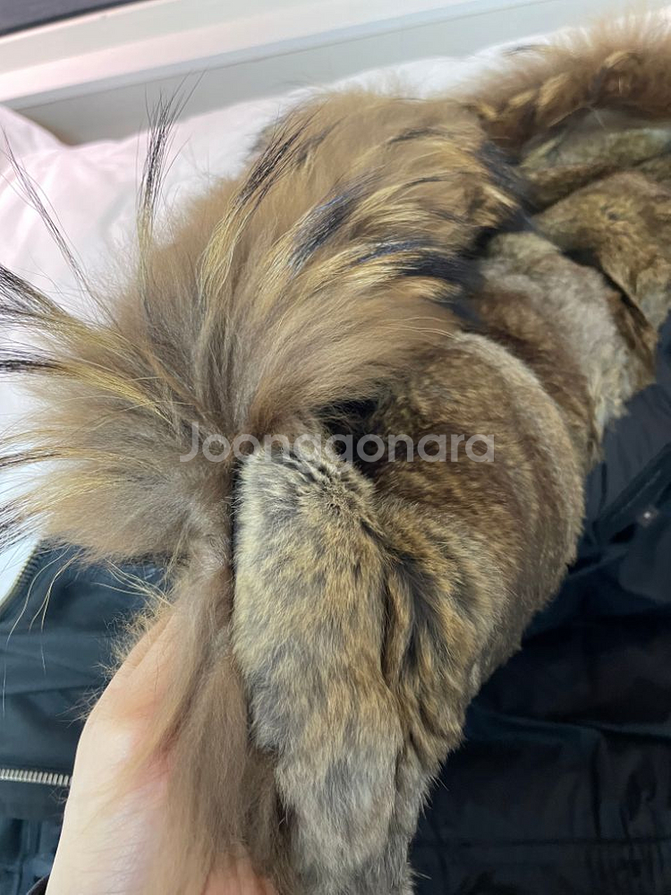 남성 정품 남자 맥케이지 에드워드 36 패딩--3