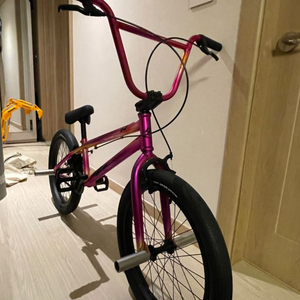 콘피안자X BMX 자전거