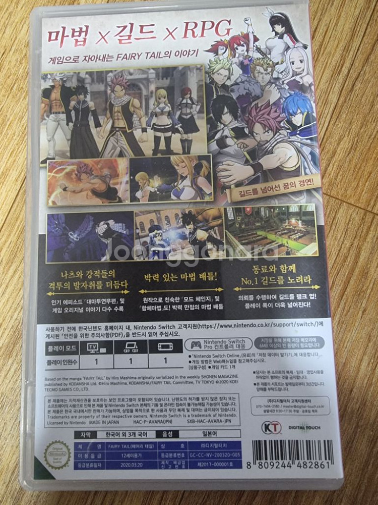 닌텐도 페어리테일--1