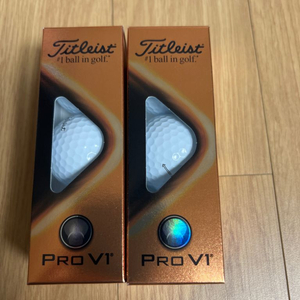 타이틀리스트 pro v1 6구