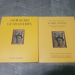 오스왈도 과야사민 전시도록(사비나미술관)예술 미대 작가