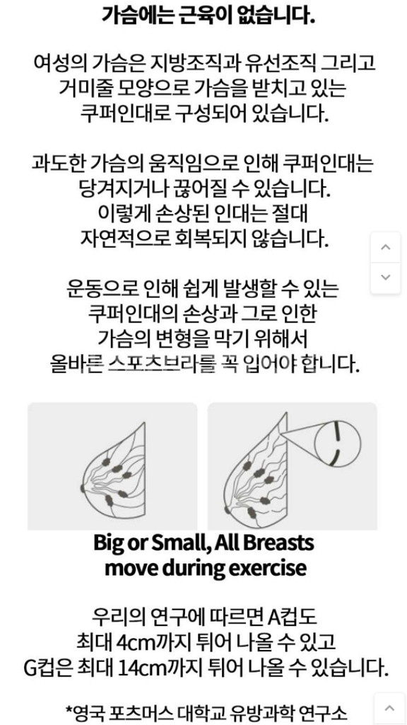 쇼크업소버 인피니티 집업 스포츠브라 75A--6