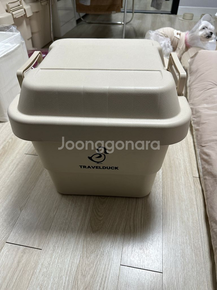 캠핑 에디슨전구--3