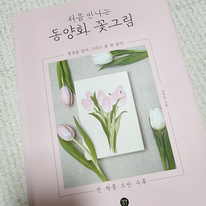처음 만나는 동양화 꽃그림