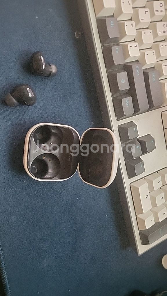 버즈2--1