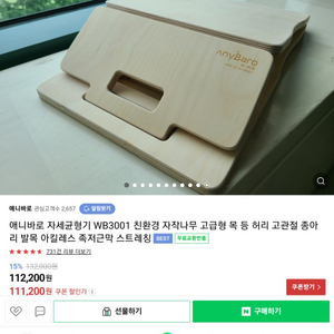 애니바로 자세 균형기