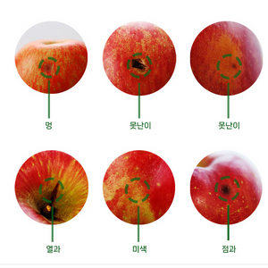 사과