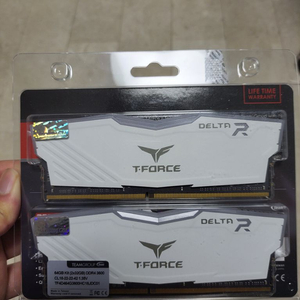 Ram 32g DDR4-3200 (2개)