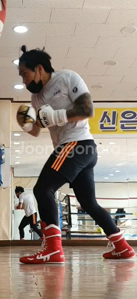 260~265 복싱화,8온스 복싱글러브--6