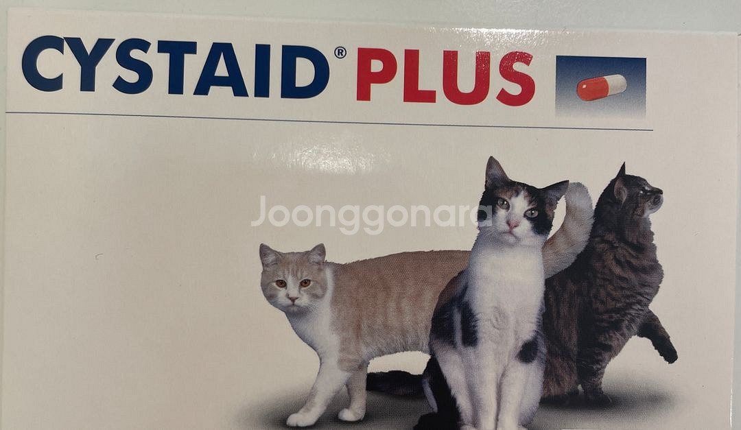 시스테이드 플러스 (구버전) 고양이 방광염 보조제--0
