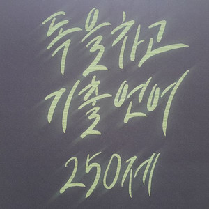 이투스 국어 방동진 독을 차고 기출 언어 250제