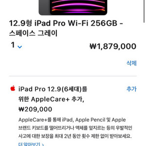 Ipadpro 5세대 12.9 wifi, 256g sg