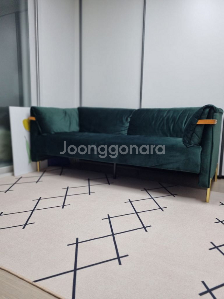 아가일 초대형 러그 200*300--2