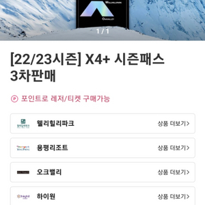 x4시즌권 판매