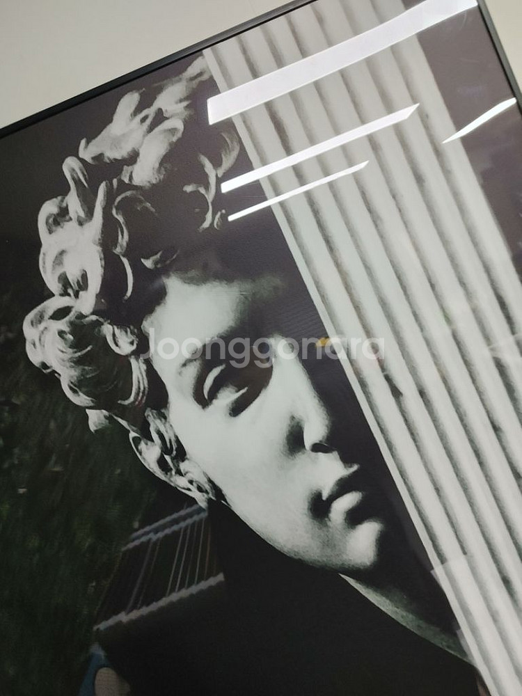 로마석상 초대형 감성 그림 액자 대형 인테리어 소품--8