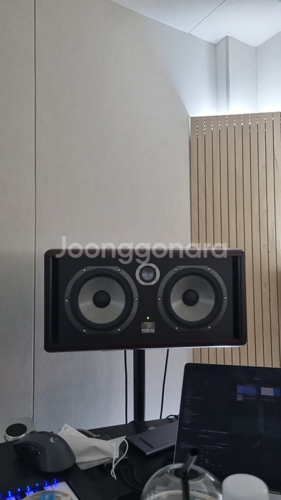 Focal Twin 6be 1조--0